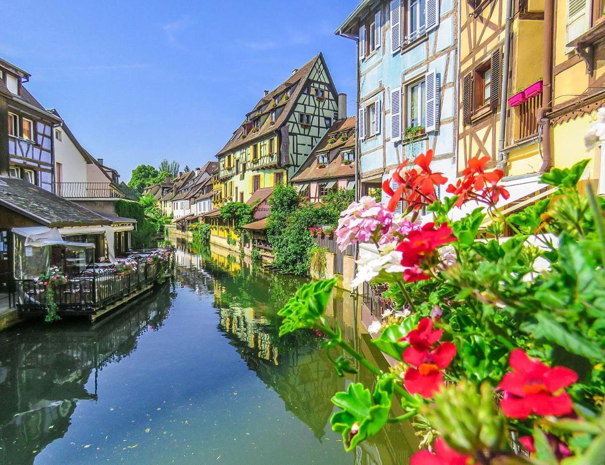 Gites Du Ladhof 科尔马 外观 照片